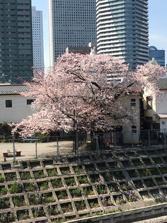 IMG_2704.jpg